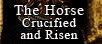 The Horse Crucified and Risen