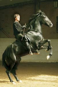 Александр Невзоров на коне Каоги, предки которого умели извлекать квадратные корни.